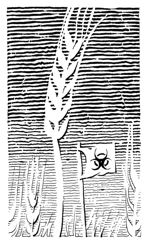 Иллюстрация Петра Перевезенцева