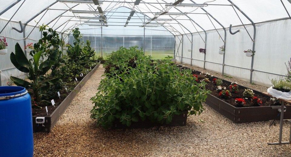    Министерство по содержанию территорий и государственному жилищному надзору МО