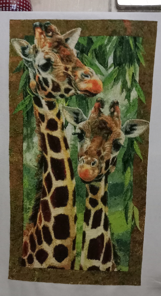 Вечернее фото. 