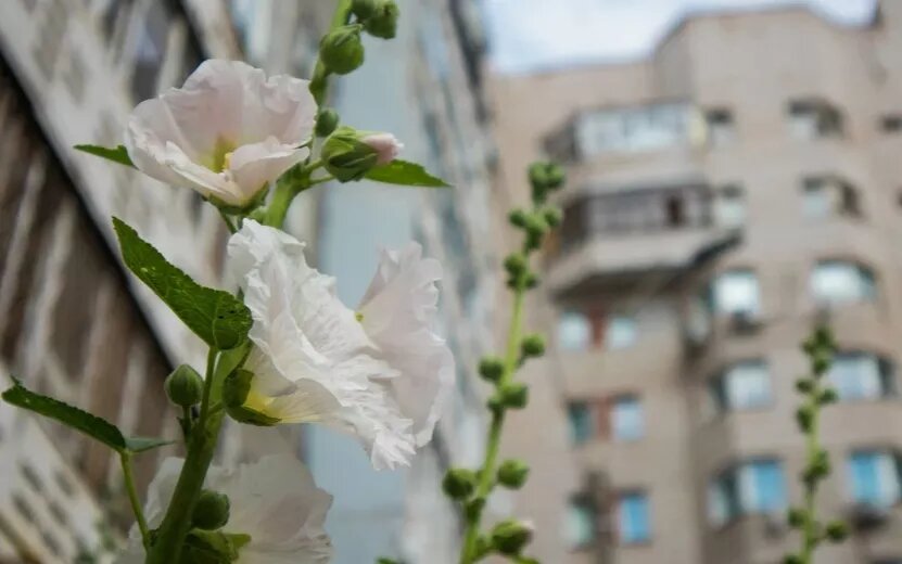    Погода в Ижевске на день: 12 июля будет малооблачно и до +27°С