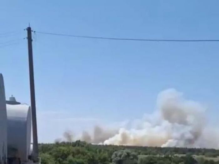 Источник фото: Соцсети