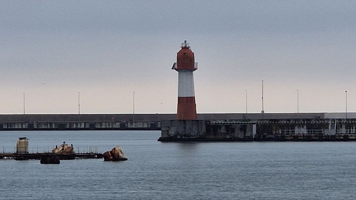    Фото: телеканал «Краснодар»