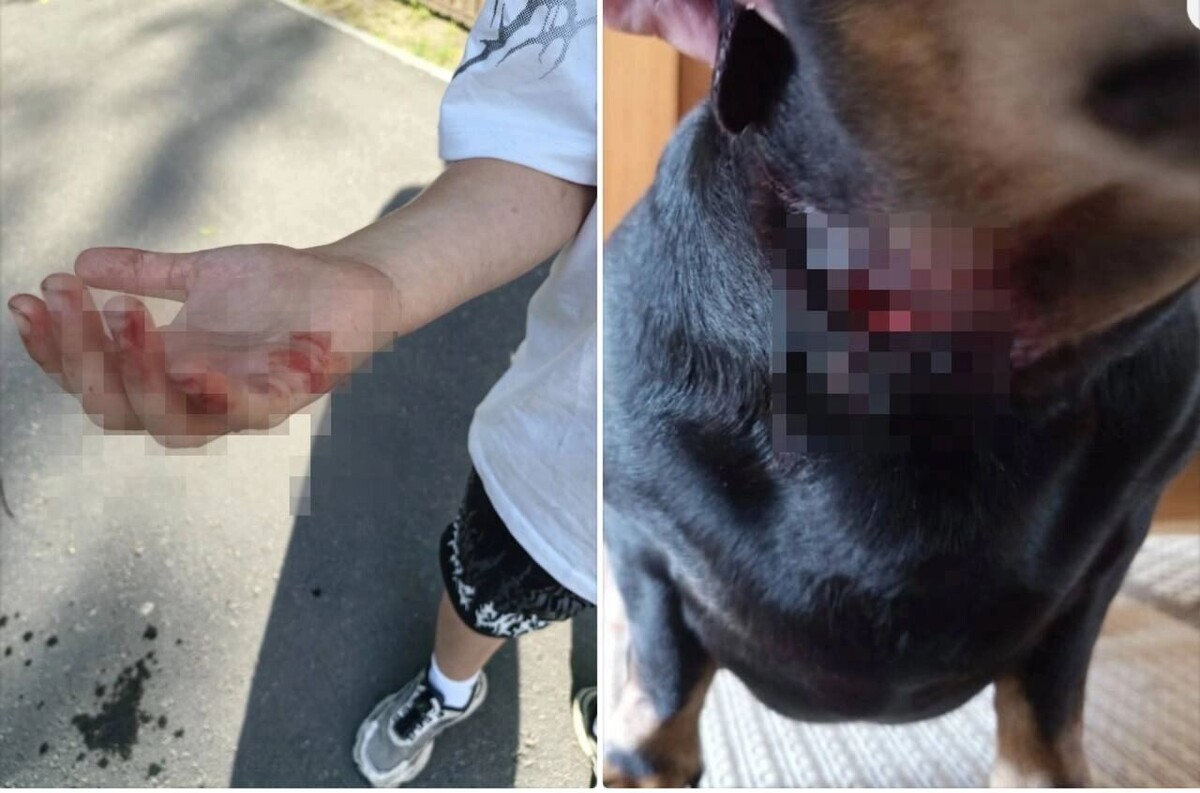     Источник: vk.com Тюмень Главный