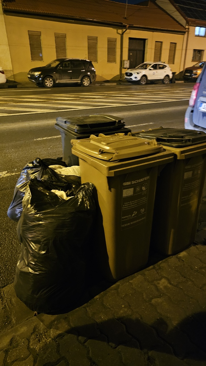 как выглядят мусорные контейнеры у дороги (с бытовыми отходами)
