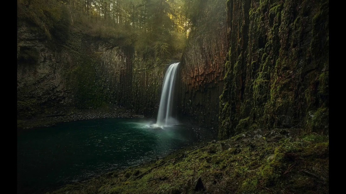 фото из интернета