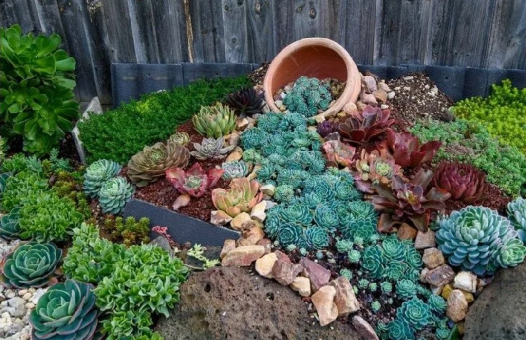 Фото из свободного источника 