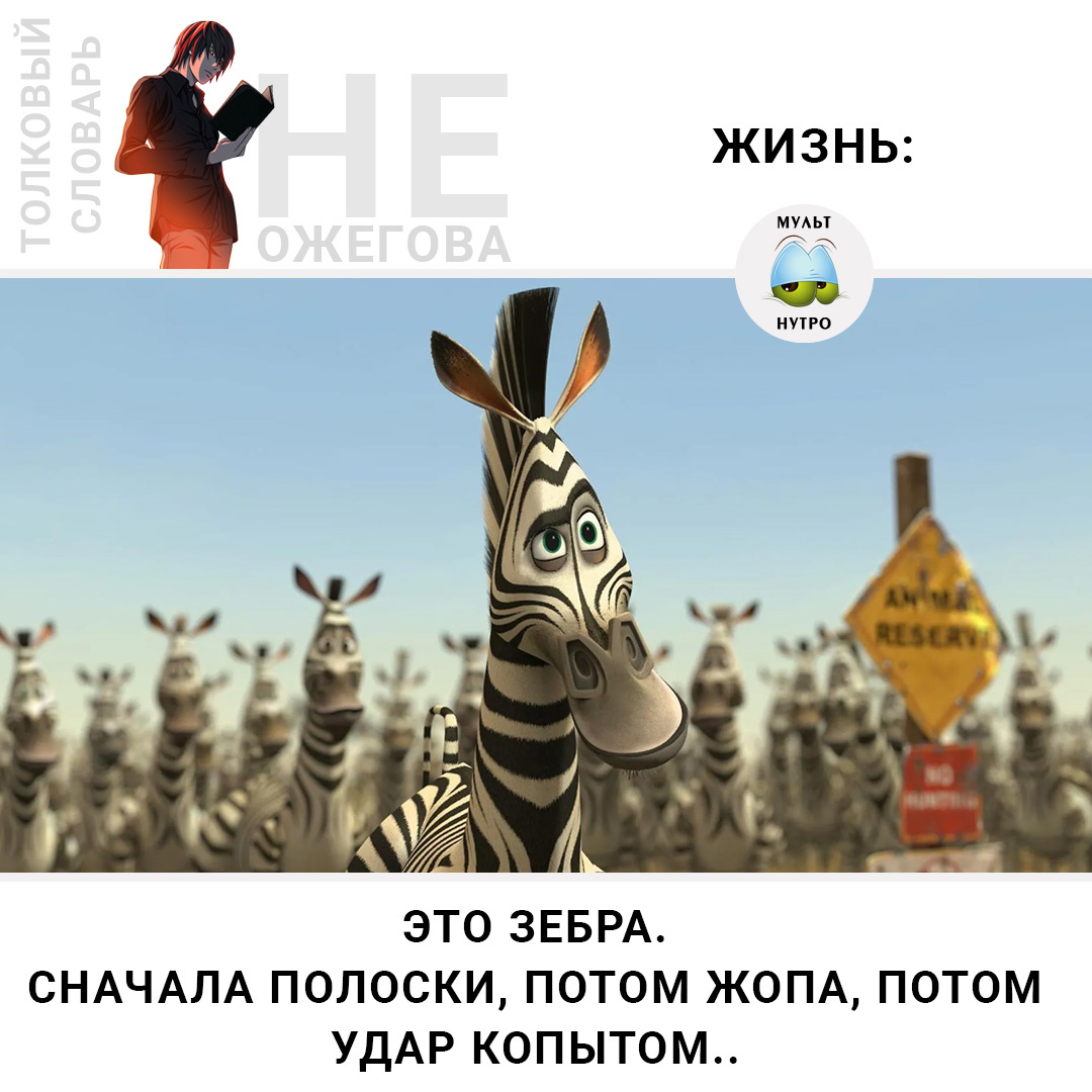 (Мультфильм «Мадагаскар»)