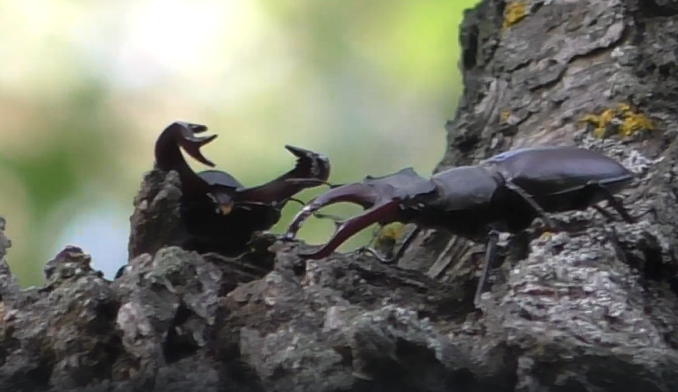 Фото из архива автора. 