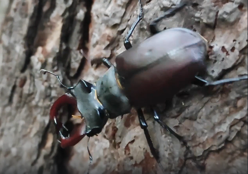 Фото из архива автора