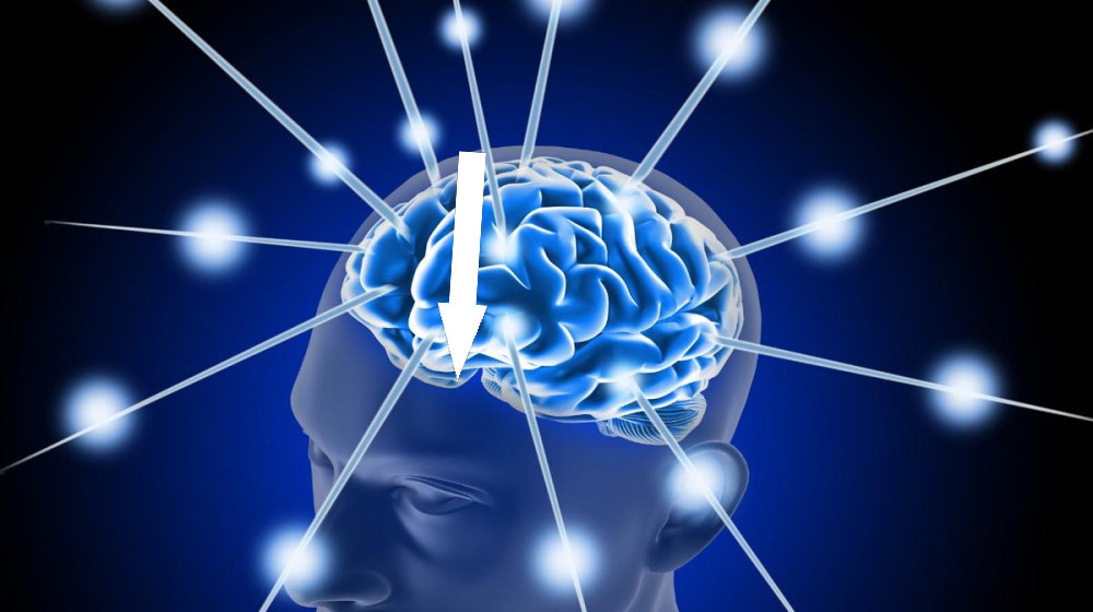    Кризисная телепатия Как мозг передает сигналы SOS в момент смертельной опасности