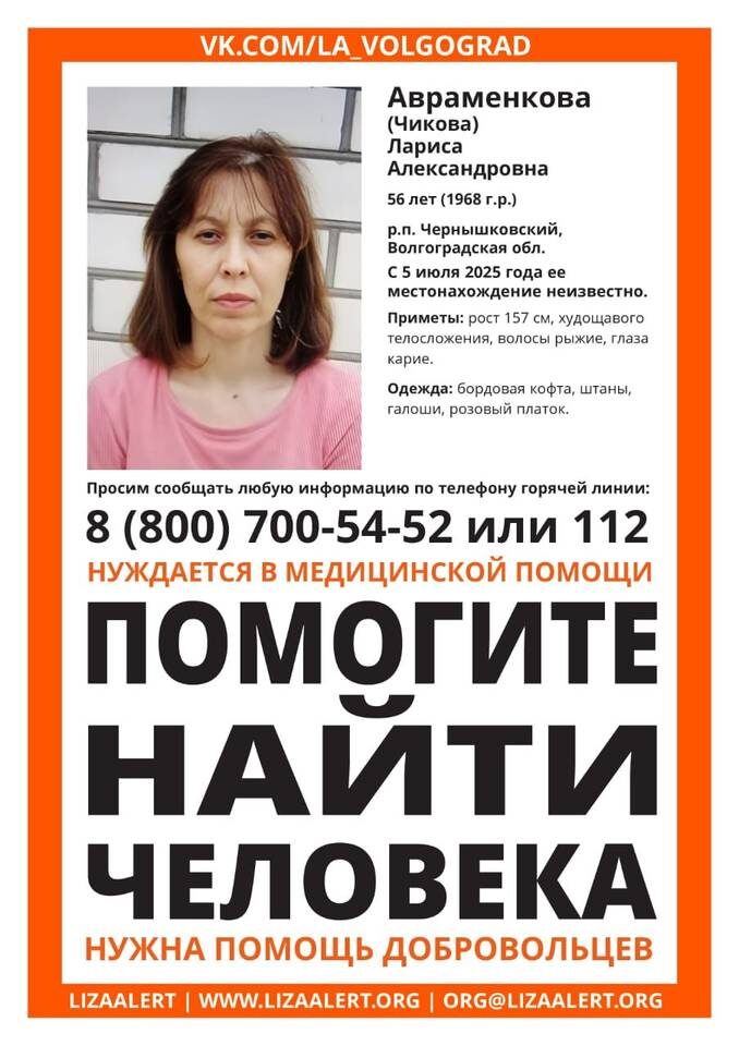    Фото: отряд "ЛизаАлерт"