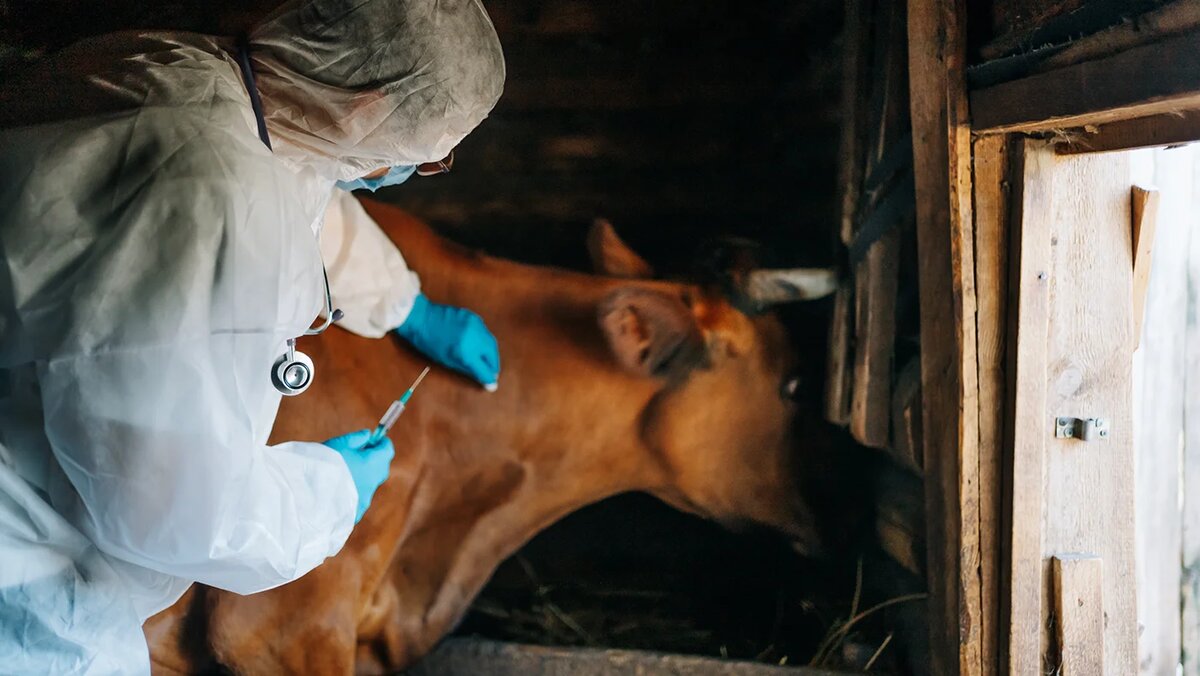   Adobe Stock- Архивное фото