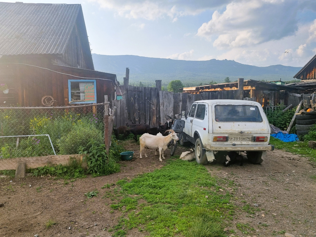 Будни Тюлюка. Фото автора