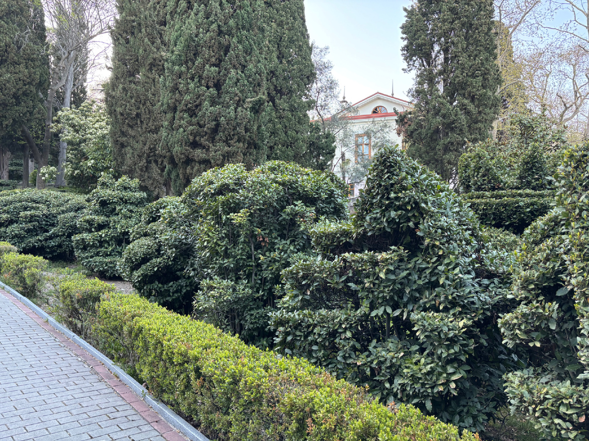 Фото автора