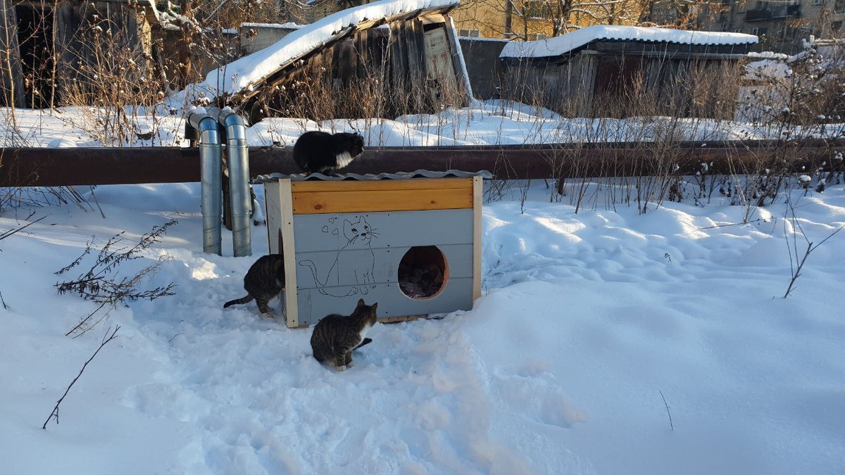    После новоселья. Фото предоставил Иван Грицкевич
