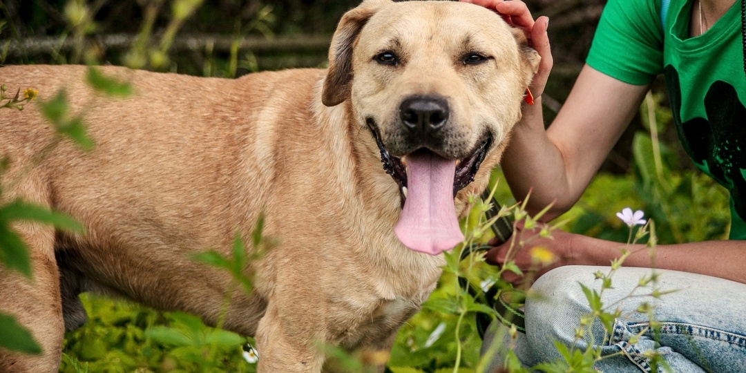 Финч ждёт своё счастье!