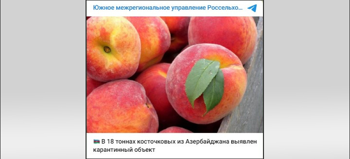    Заявление Россельхознадзора об обнаружении вредителя в партии персиков и нектаринов из Азербайджана. Скриншот: ТГ-канал ведомства