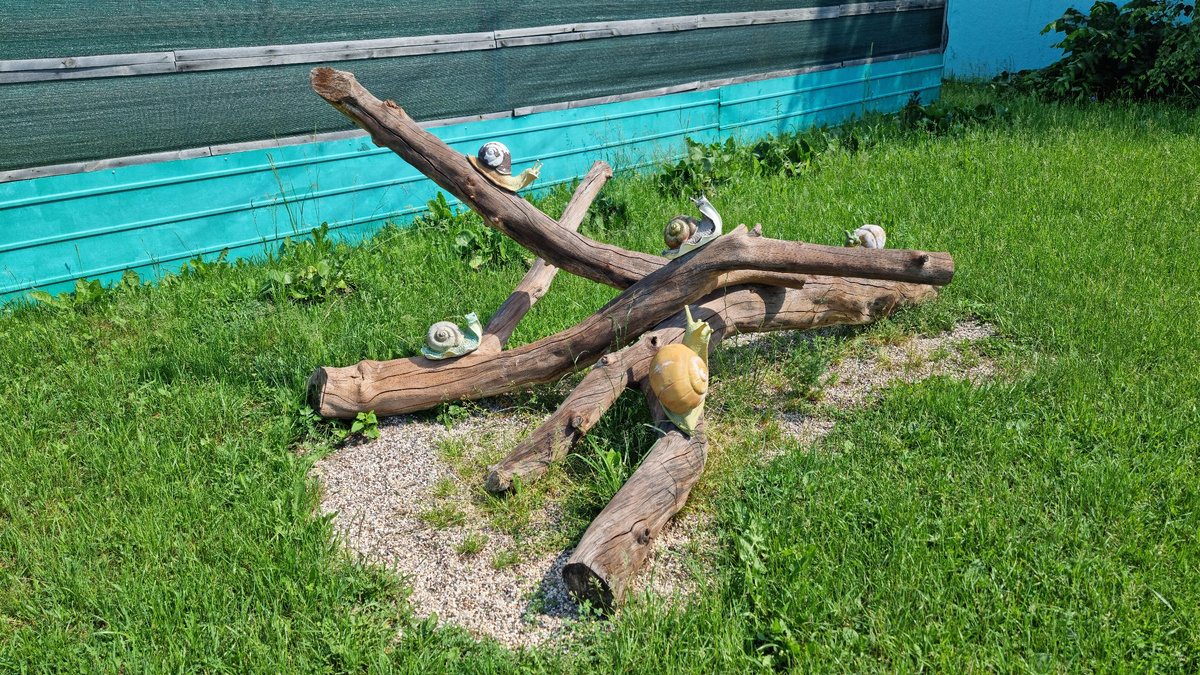 Попал в маленькое улиточное королевство. 🐌 Невероятно уютно, всё продумано до мелочей.