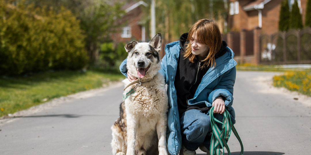 Спасите Бима💔 Его возвращают в приют!!!