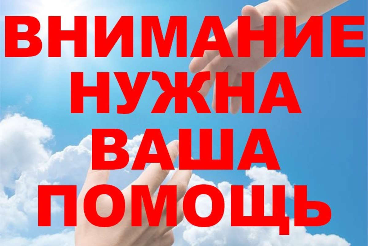 Картинка из интернета