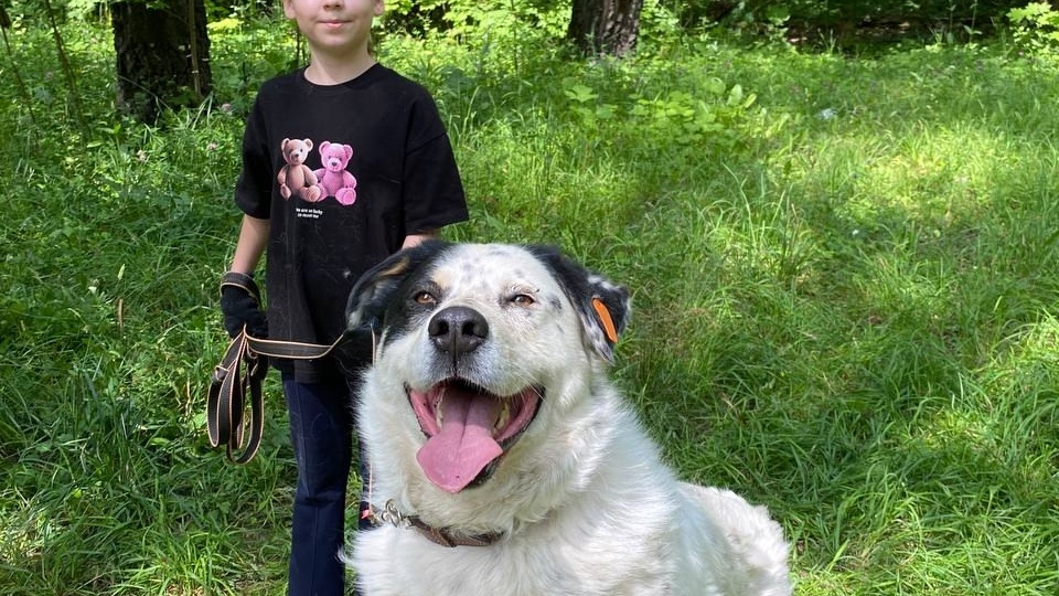 Фил ждёт семью...