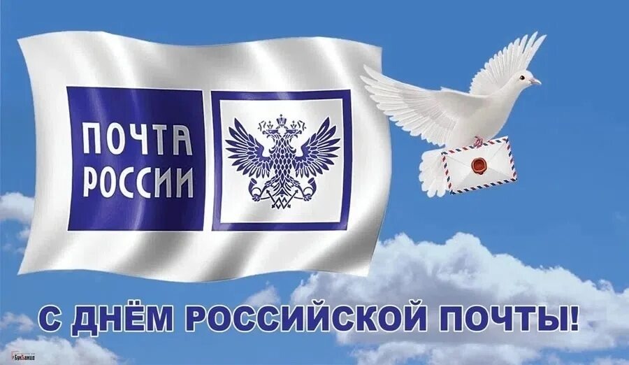 Яндекс картинки 