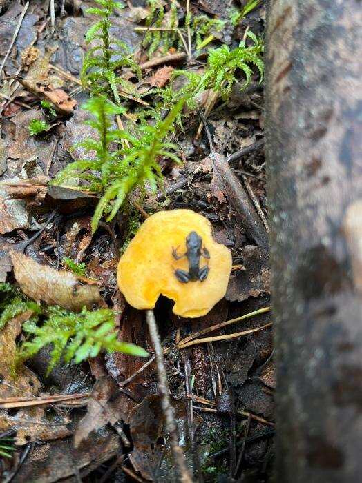 Рекорд за три часа
Фото: Людмила Иванова