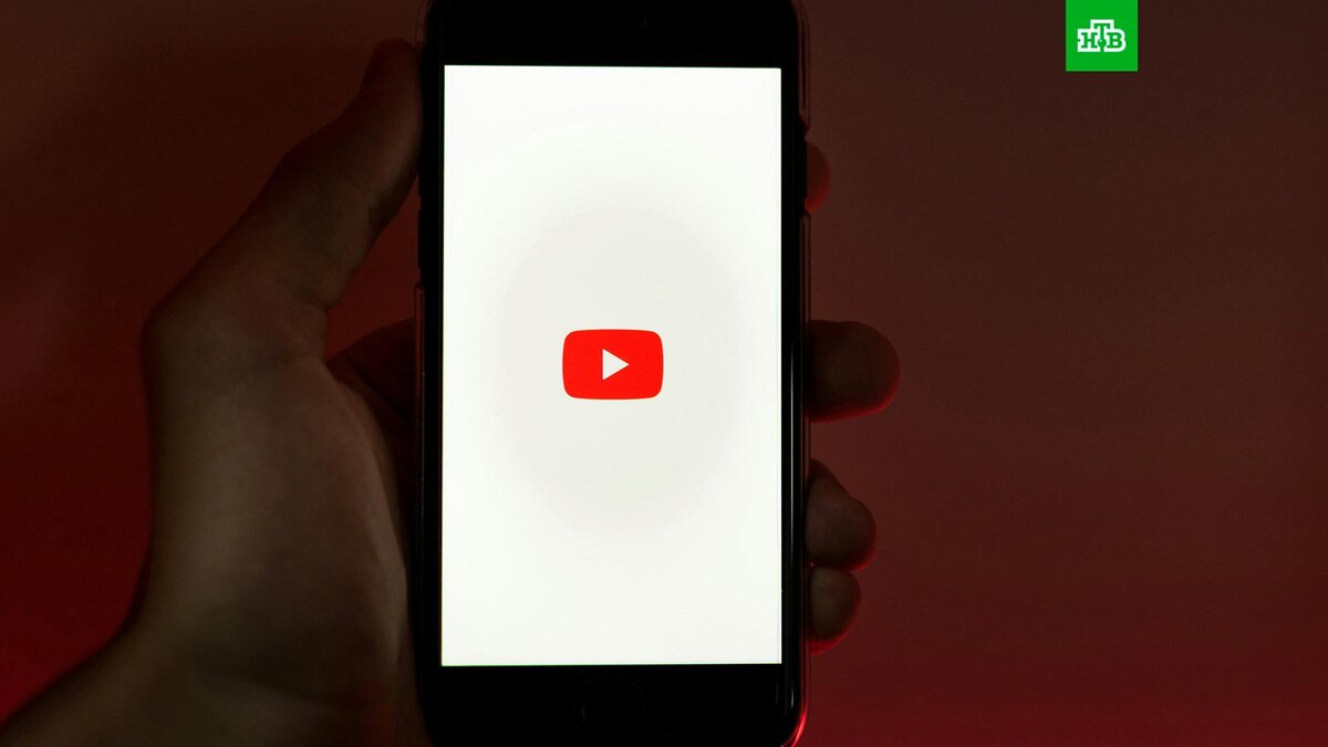    Фото: Szabo Viktor / unsplash.com