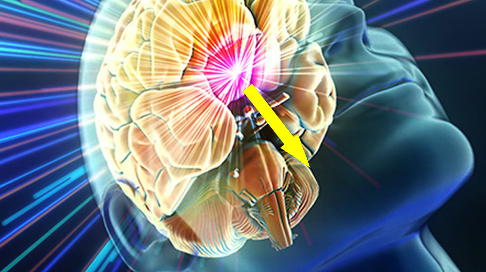    Фантомные вибрации телефона Почему мозг обманывает нас даже когда гаджет выключен