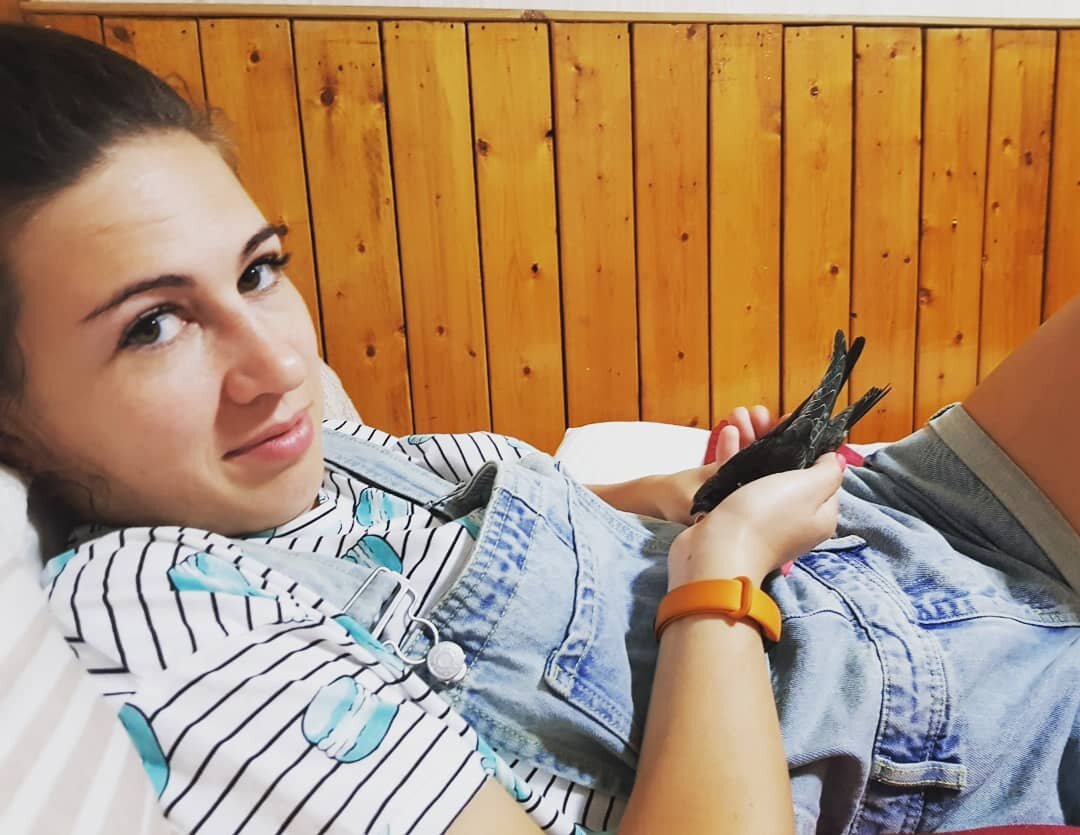 Необычная история, про путешествие с хищной птицей