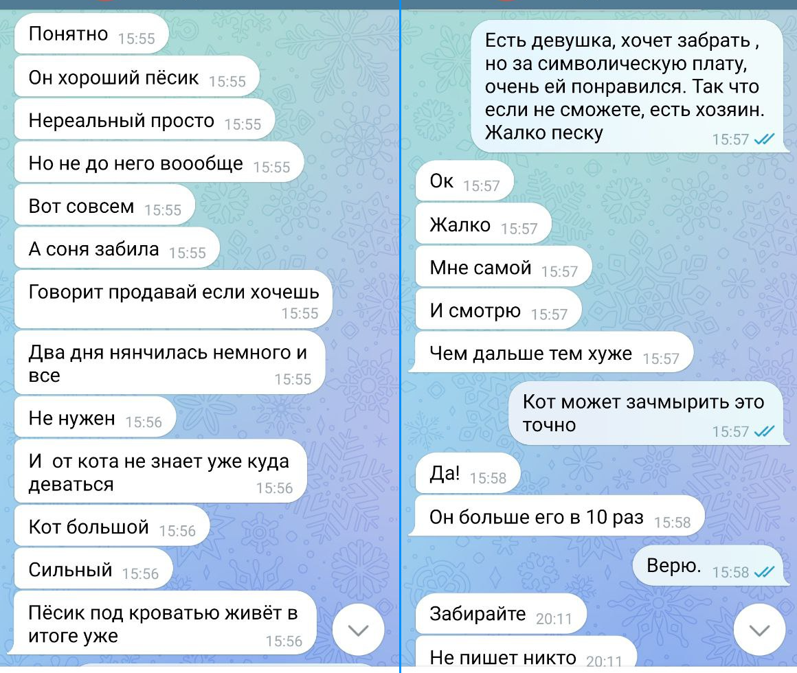 Переписка из вацапа без купюр 2