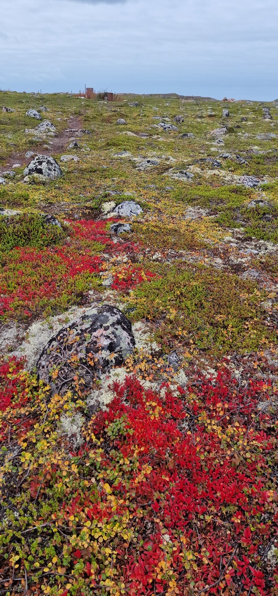 Листайте карусель