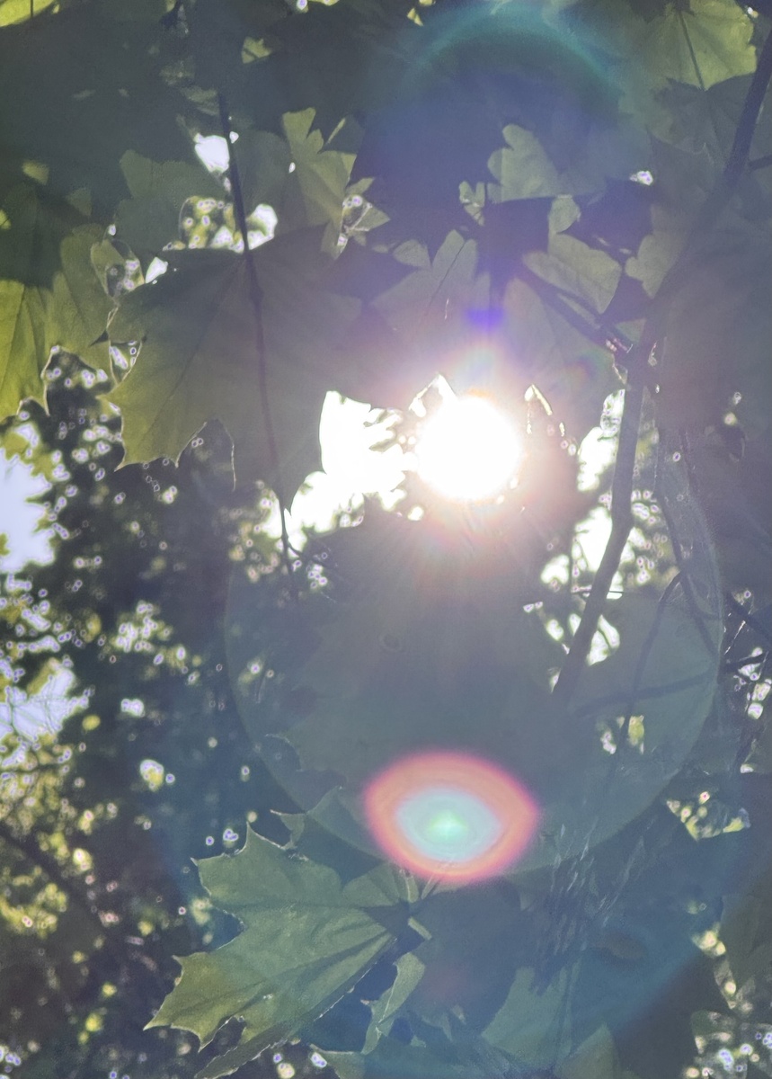 Необычное рядом 