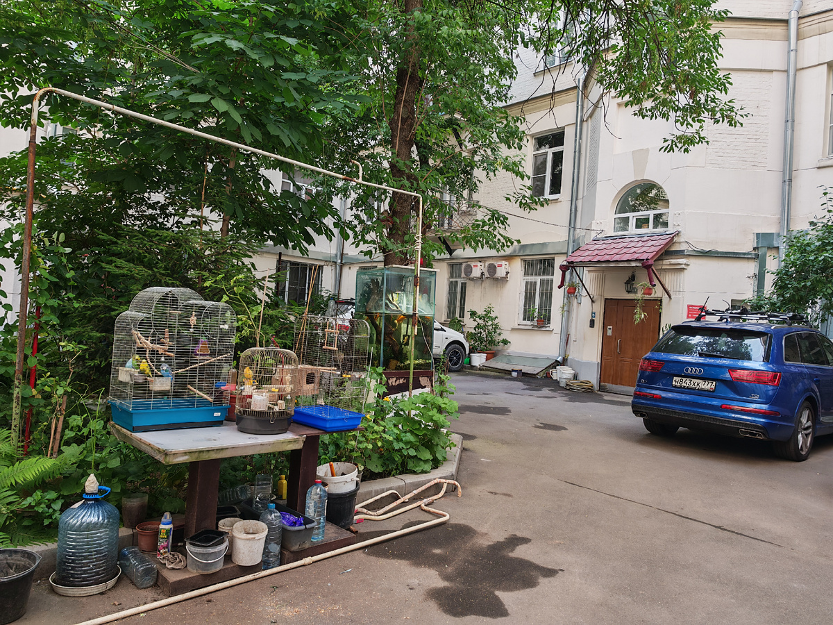 Двор доходного дома Долгоруковского товарищества. Долгоруковская улица, 29. Попугаи во дворе
