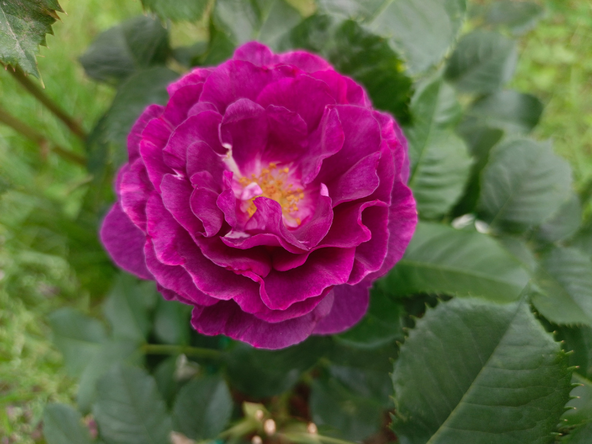 Адлер, июль 2025 г.