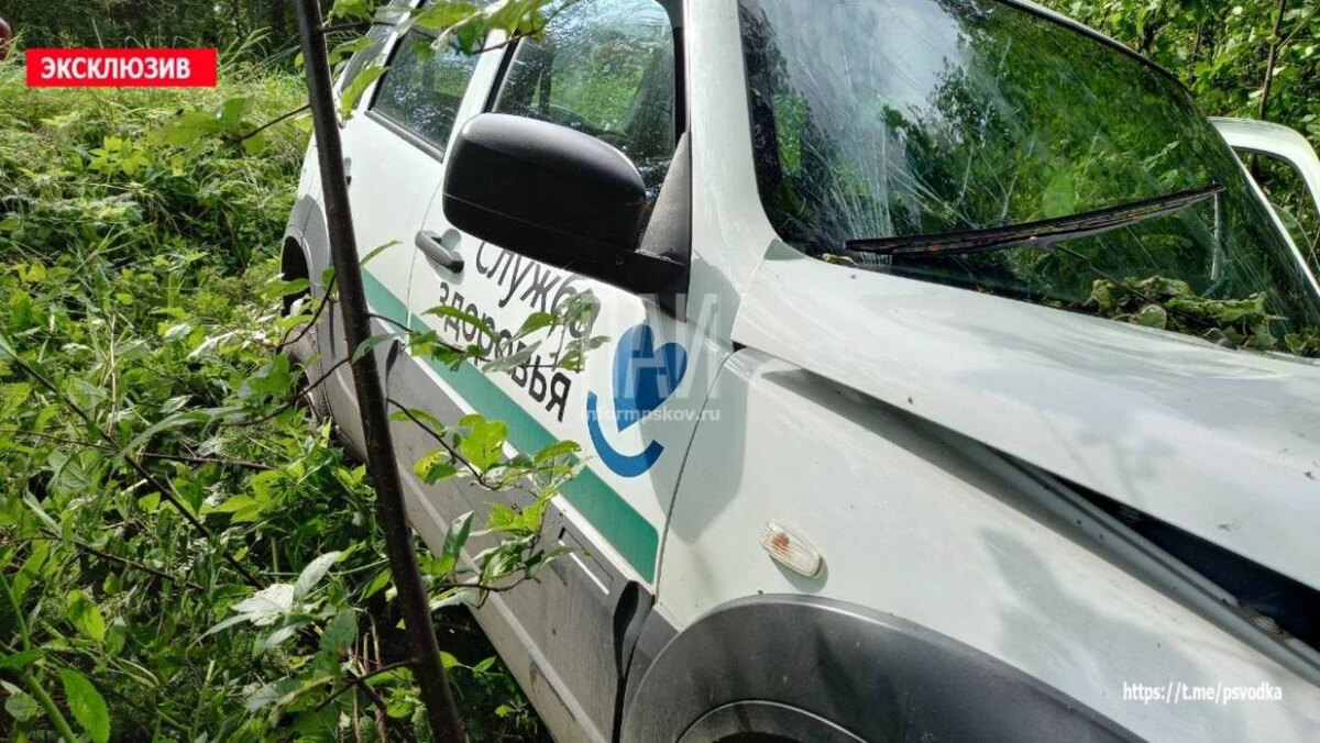 В Себежском районе «Нива» вылетела в кювет и протаранила дерево
Фото: Telegram-канал «Псковская сводка. ПАИ»