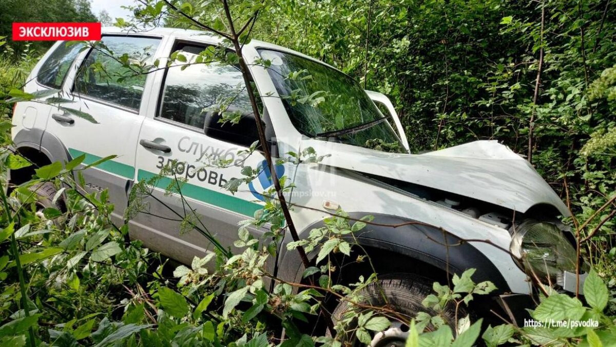 В Себежском районе «Нива» вылетела в кювет и протаранила дерево
Фото: Telegram-канал «Псковская сводка. ПАИ»