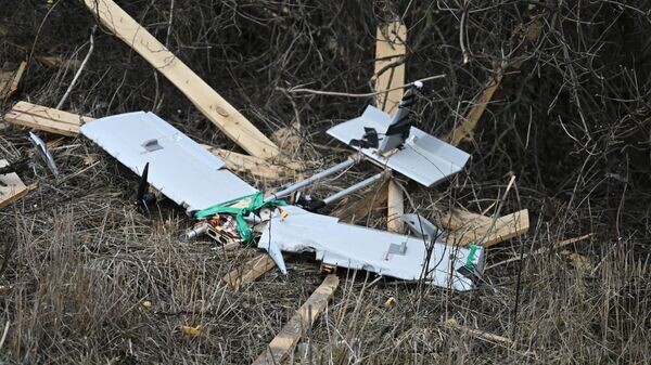    © РИА Новости . Станислав Красильников