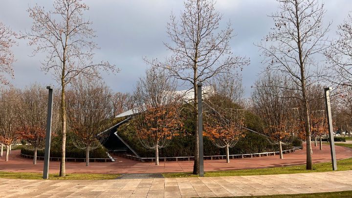 Парк Краснодар (Галицкого) в декабре. Взято из открытых источников.