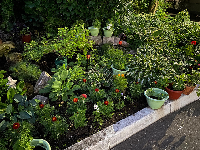 Жителей Центрального района Твери наградили за лучшие цветники. Тверской пр-т, д.13