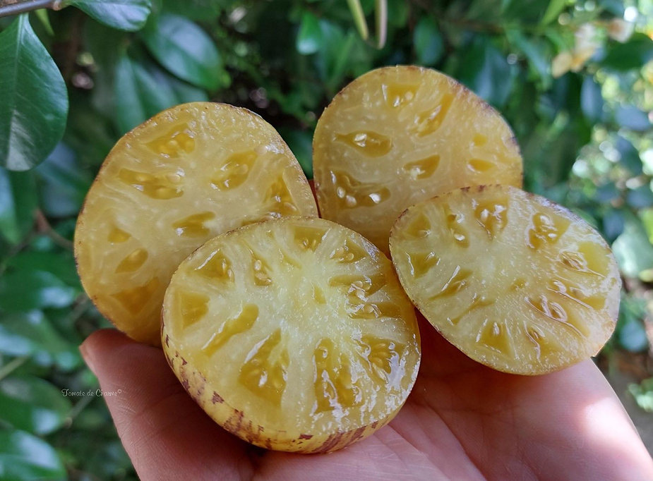 Фото Tomates de Charme 
