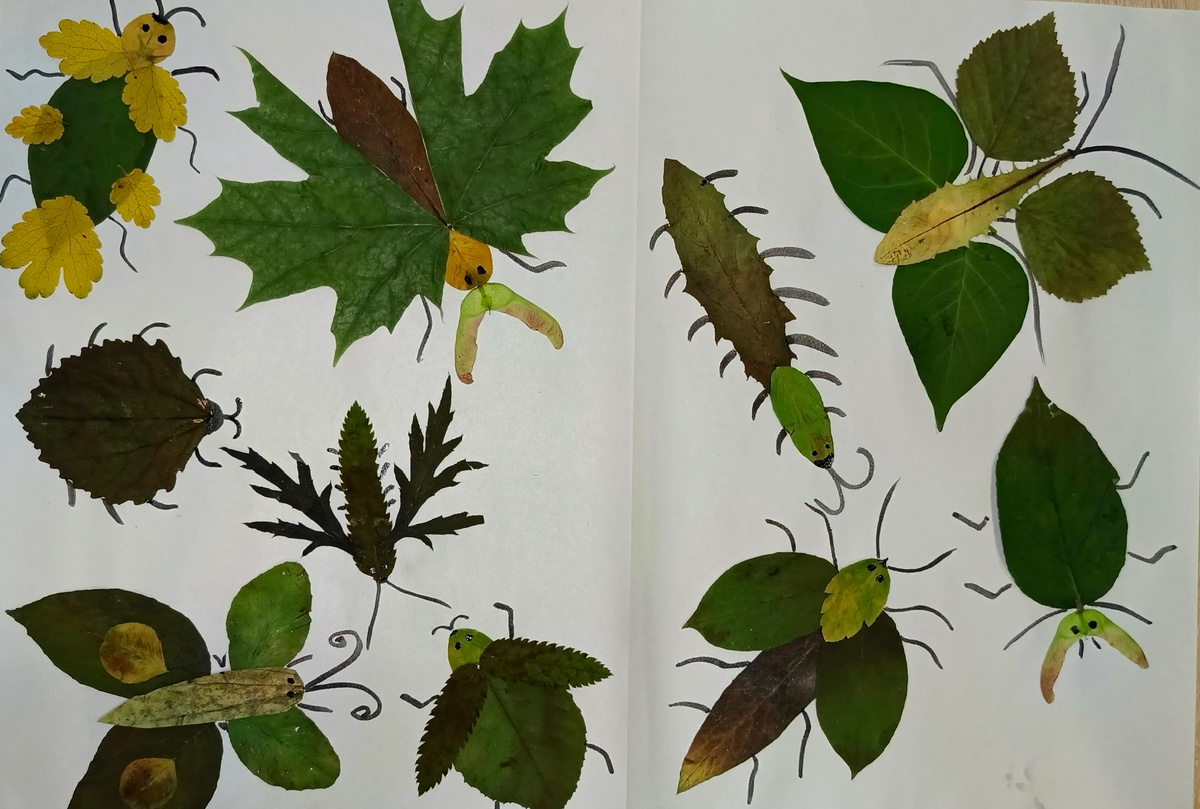 Фантастические насекомые