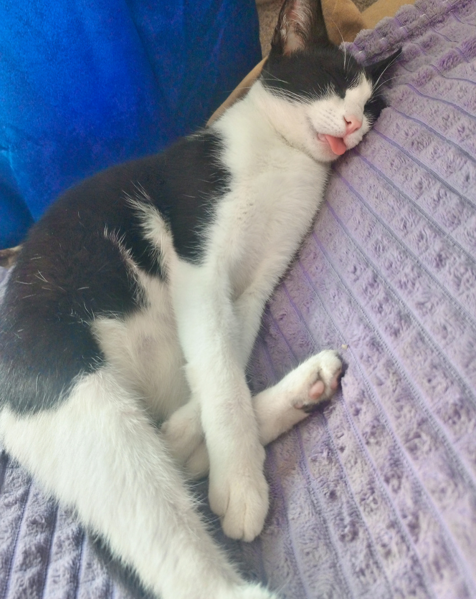 Примерно так реагируют мои близкие, когда являются моими слушателями 