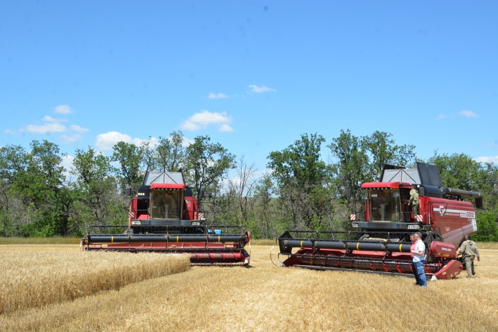   Фото: Е. Антонова. Елена Антонова