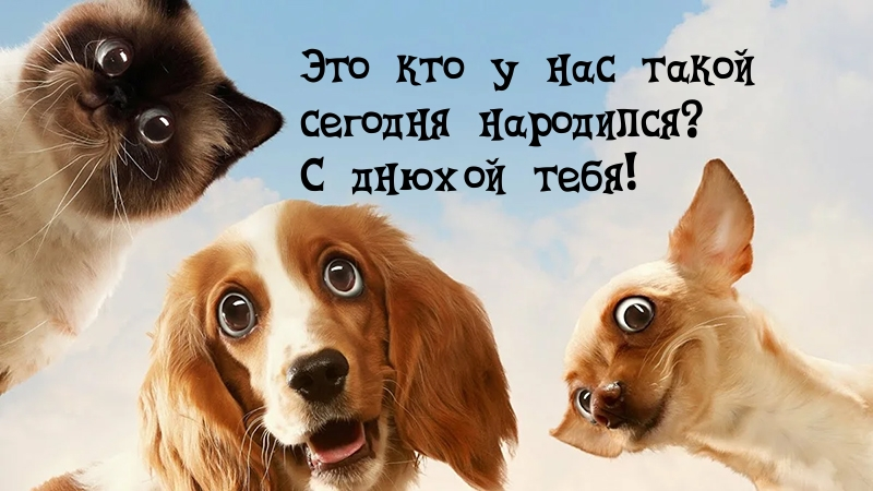 Это кто у нас такой сегодня народился?