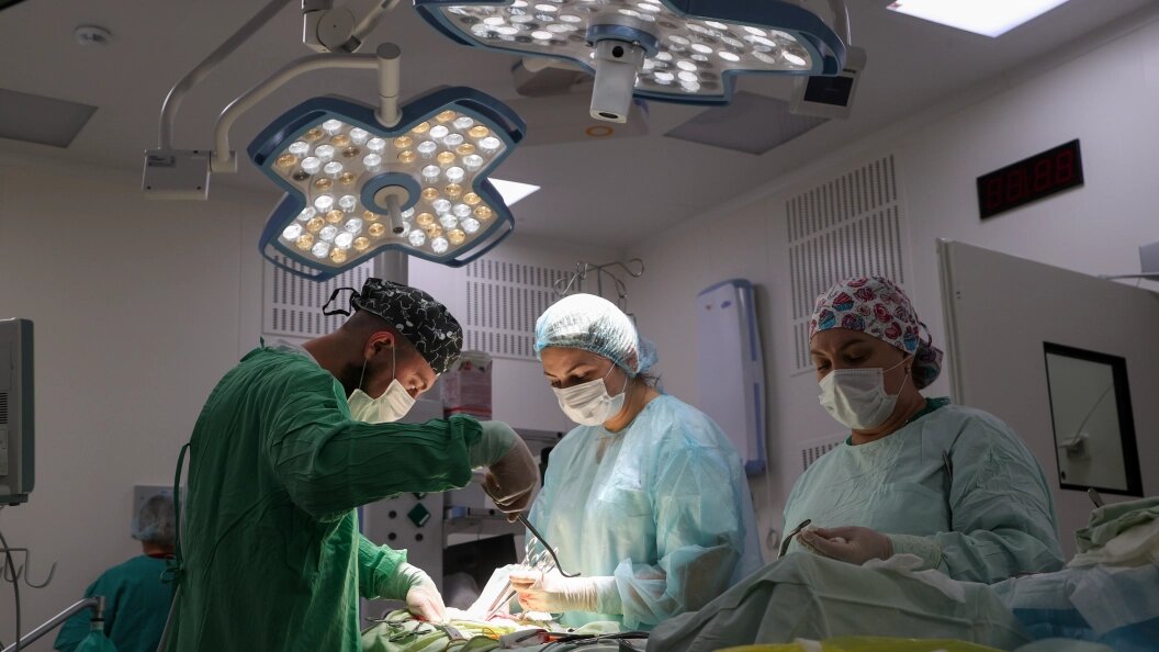    Belkin Alexey/Globallookpress