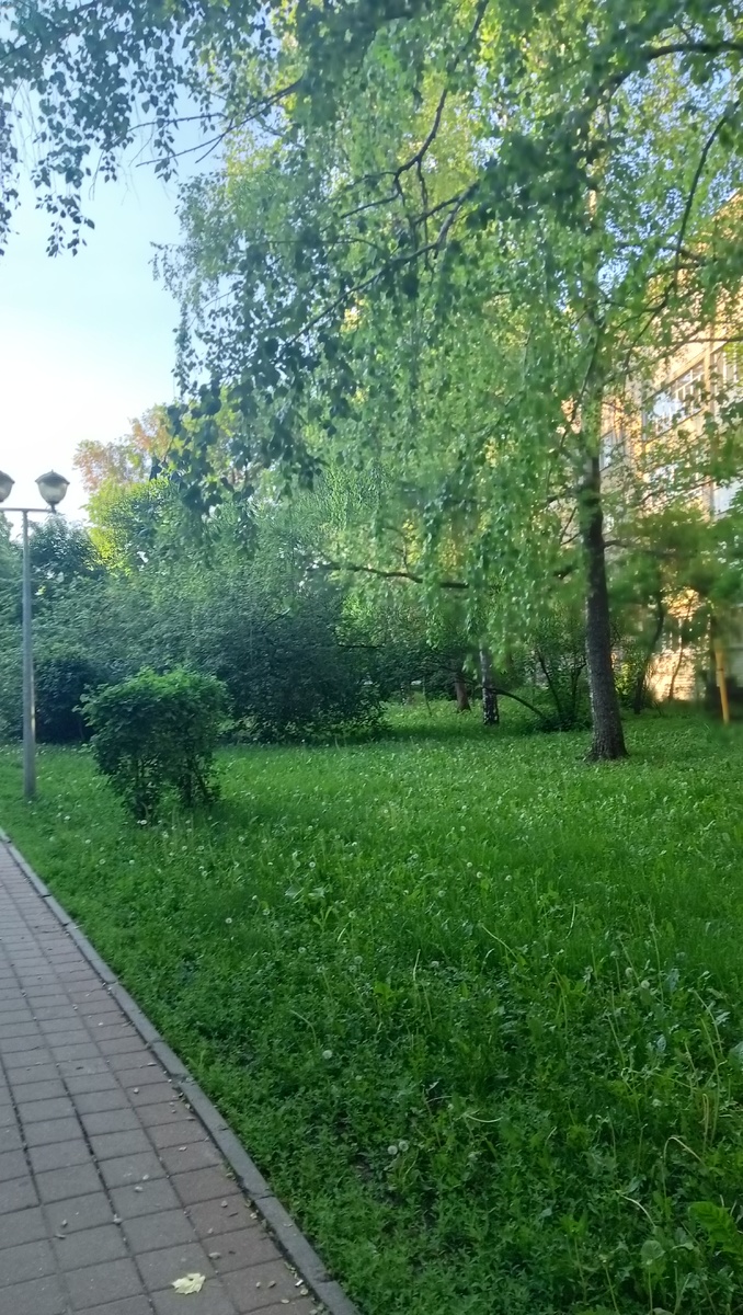 Архивная фотка для красоты