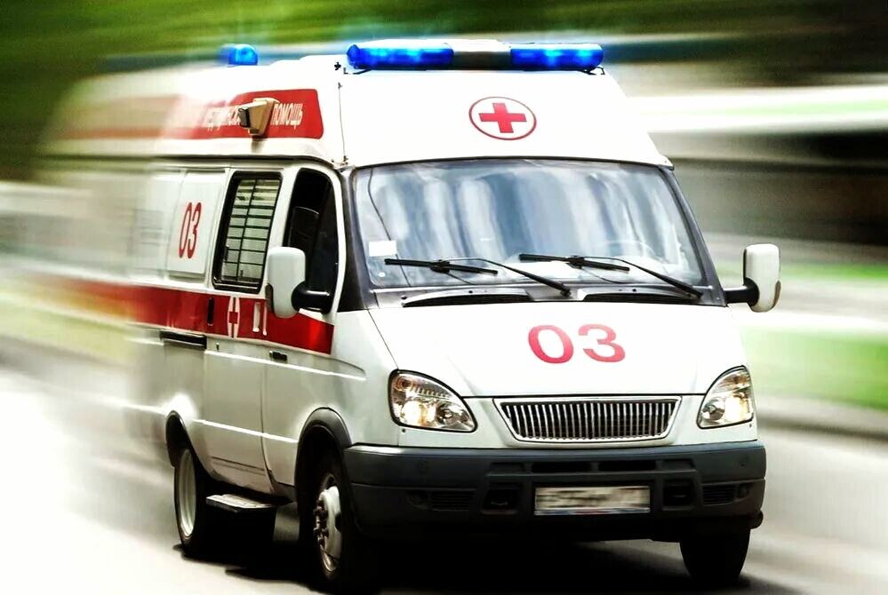 Изображение взято из свободных источников. 