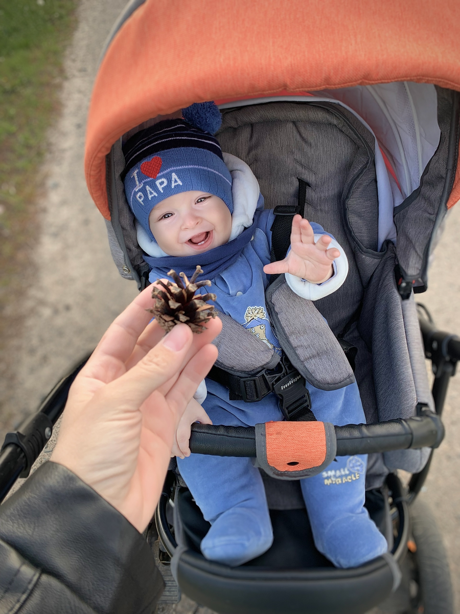 Впервые увидел шишку