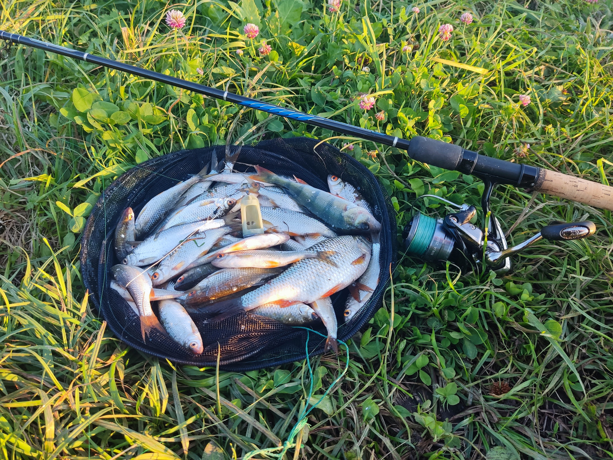 Ловля в темпе на Challenger Picker сродни искусству.